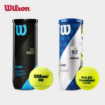 윌슨 Wilson테니스공 US open 롤랑가로스 상하이 프로 대회 리바운드 테니스 3 캡슐, TITANIUM 1캔