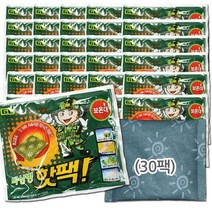 건강두배로 [2022년 12월 생산 제품] 지엘 박상병 핫팩 군용 보온대 대용량 손난로 140g, 박상병 핫팩 140g, 30개