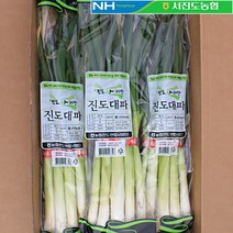 [예찬] [서진도농협] 진도 대파 3단, 상세 설명 참조