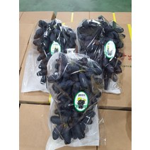 사파이어 포도 샤인머스켓 씨없는 블랙사파이어포도 애플 솜사탕 머루 캠벨 2kg, 블랙사파이어 2kg