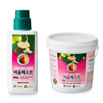 바움 페스트 나무상처 치료제 수목 연고 보호제 소나무 도포제 분재 대유 톱신 플라스터 +장갑셋트, 300g