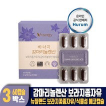 감마리놀렌산 보라지유 보라지오일 보라지꽃 종자유 식물성 에코캡슐 건강기능식품, 3개, 60캡슐