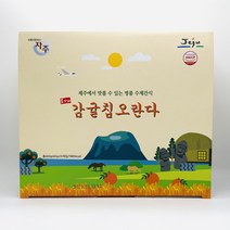 제주 감귤칩 오란다 10개입 은가비 수제 어르신 간식 제주여행 선물 과자