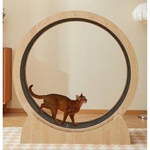 코코브라운 시크릿 페이퍼하우스 고양이주머니 + 캣닢쿠션 랜덤 발송, 블랙&옐로우, 4세트