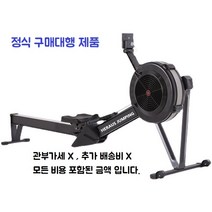 유산소운동 에어 로잉머신 가정용 유산소 노젓기 조정 운동 기구 맥스G30 피트니스, 블랙