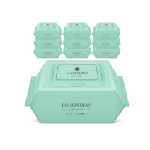 루이비앙 민트 저자극 엠보싱 아기물티슈 캡형, 20팩, 1개