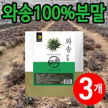 와송분말 생와송 500g, 3개 (3000원 할인), 3개