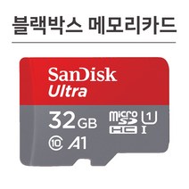 샌디스크 유라이브 알바트로스 Q 블랙박스 메모리 32기가 SD카드, 32GB