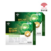 동화약품 혈행엔 기억력 징큐란, 2박스, 120정