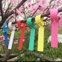 식물 수목 이름표 라벨 묘목 과수원 이름표 KK292, 옐로우