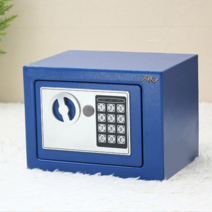 디지털 안전 금고 17, 블루