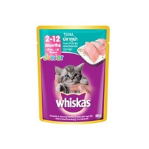캣간식 주니어 참치 파우치 80g 습식 아비시니안 추루 간식추천 냥이간식 템테이션 랙돌 고양이간식 먹이