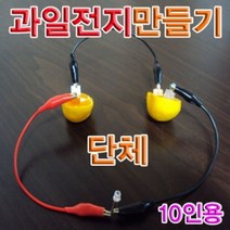 일음쇼핑^^m향앤미과학 과일 전지 만들기 단체 10인용 실험교구 키트 교재 교육용 학습일medi^^, ab^^선택없는