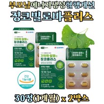 부모님 할아버지 할머니 에너지생성 혈행 나이아신 징코빌로바 아연 판토텐산 비타민비군 영양제 기억력 개선 면역력 징코 징크 은행잎추출물 중년 여서 40대 50대 종아리 혈액순환