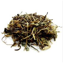 [양구민들레]무농약 하얀민들레 건초 잎 / 줄기 1kg 민들레 효능