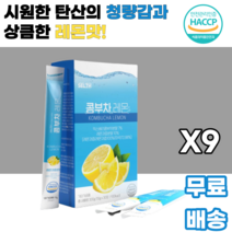 콤부차 레몬 kombucha lemon 믹스베리 탄산 청량감 상큼한 유익균 스코비 발효 발효음료 프락토올리고당 남녀노소 누구나 간편하게 부담없는 직장인 학생 대학생 수험생 사회인, 9박스, 30포