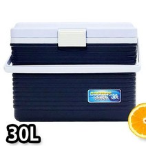 아이스박스 국산 코스모스 이동식 쿨러 낚시 캠핑 다용도 30L