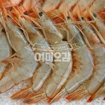 국산 안면도 자연산 대하 왕새우 1kg(20~25미), 국산 태안 자연산대하 1kg