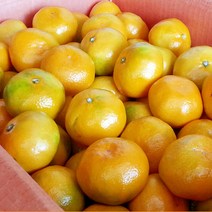 한아름드린 [농협] 제주 노지감귤 5kg(L/대과), 1