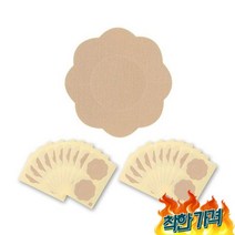 일본아이디어쇼 아이미디어 니플20, 없음