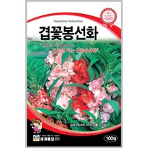 겹꽃봉선화 100립 / 씨앗 종자 꽃씨 봉선화씨앗 봉선화씨 겹꽃봉선화씨앗