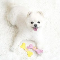 반려견 하트본 개 뼈다귀 라텍스 토이 8개 장난감 소형견 멍멍이 놀이