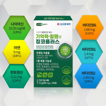 심부전증좋은영양제 혈행개선 혈액순환 은행잎추출물 나이아신 아연 판토텐산 기억력개선 플라보노이드 중년 장년 노년 직장인, 3개월분