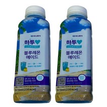 블루레몬에이드 페트음료 500ml x 12개, 상세페이지 참조