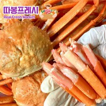 따봉프레시 당일조업 찜발송 수율보장 영덕 홍게 대게 라면증정, 일반형 5kg (16미 내외)