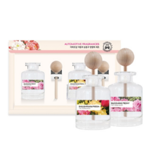 더허브샵 차량용 송풍구 디퓨저 40ml 2개입 세트, 블랙베리 앤 베이, 1세트