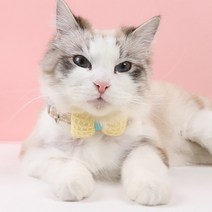 집사의의무 고양이 강아지 리본 케이프 나비넥타이, 카키