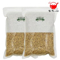글로벌푸드팜 국내산귀리 무농약 햇 귀리 1kg 1kg+1kg, 2팩