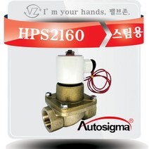 오토시그마 스팀용 솔레노이드밸브 HPS2160 (신품번 HPS2125A) 상시닫힘형 25A 2 WAY밸브 220V