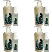 1+1+1+1 청미정 천연 다시마 샴푸 & 두피 에센스 유기농 샘플증정 2종, 1+1+1+1 천연 다시마 + 두피 에센스