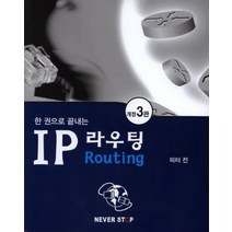 한 권으로 끝내는 IP 라우팅, 네버스탑