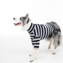 [펫디자인] 뉴심플ST티셔츠 4colors 대형견옷 중대형견옷 강아지옷, NA그레이