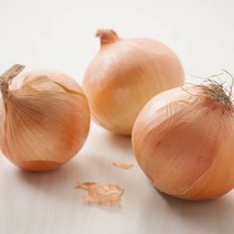 흙살림 무농약 양파 3kg, 1개