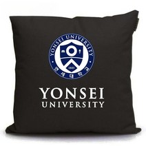연세대 로고 엠블럼 쿠션 등쿠션 소파 베게 대학교 학원 학생 선물 판촉물 기념품 사은품, 40cm, 패턴 9