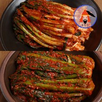 [황장군] 당일제조 여수 전라도 파김치 돌산 갓김치 1kg 2kg 3kg, 3kg 갓, 여수 돌산 갓김치