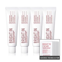 [내일도착]조성아 기미크림 브라이트 인 크림 4개 + 2ml파우치x10매, 단품