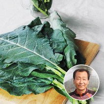 무농약 당일수확 산지발송 경남김해 녹즙용 케일 2kg, 1개