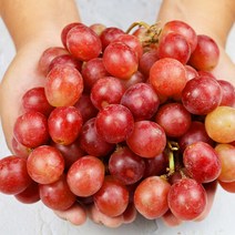 장보리 고당도 크림슨포도 1kg, 단품없음