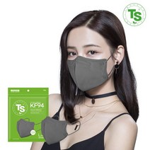 TS 가드 KF94 대형 그레이 50매입, 없음