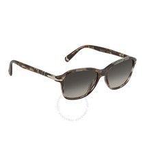 선글라스 Persol 그레이 그라데이션 Butterfly 여성용 0 248401