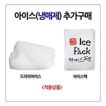 [퀴클리몰] 추가구매만 가능 드라이아이스 1개