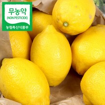 다이어트에 좋은 유기농 그린 왕레몬 시트론 레몬 1kg 국산