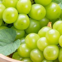 영화청과 특급 국내산 샤인머스켓 3kg 보관 김천, H앤H 1, H앤H 본상품선택
