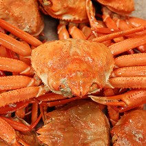 포항홍게대게자숙박달대게제철홍게라면대게찜, 정품 홍게 3kg