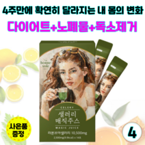 샐러리매직주스 디톡스 클렌즈주스 몸속노폐물 독소제거 해독주스 체중 피부 건강 관리 단기 다이어트-사은품증정, 4개(2.5gx56포)