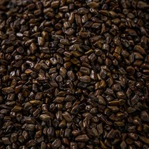 결명자 600g 결명자차, 130Q_수입산결명자600g